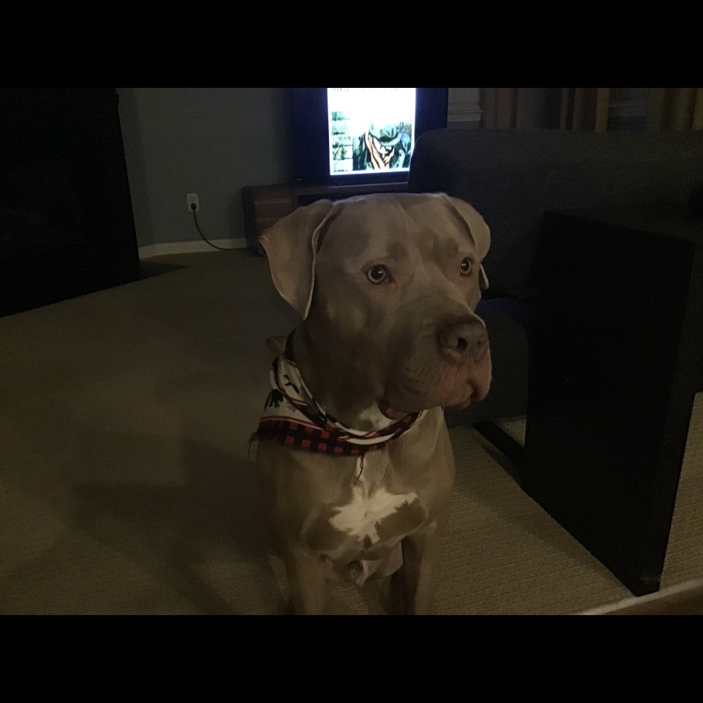 Meet your Posher, Terri